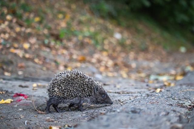 着个人的最 着个人的最
