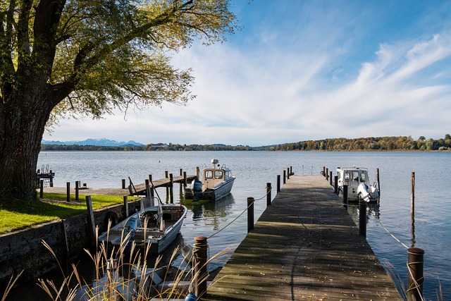 发展和改革 发展和改革