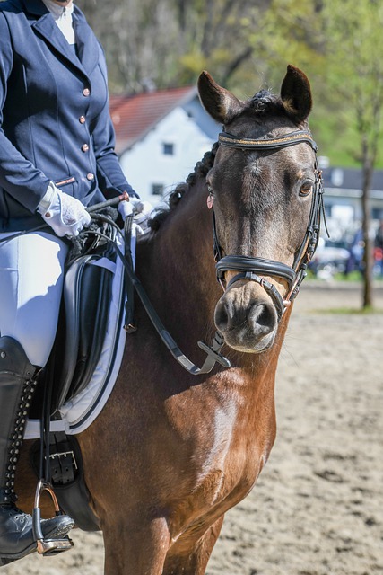 择上也下足 择上也下足