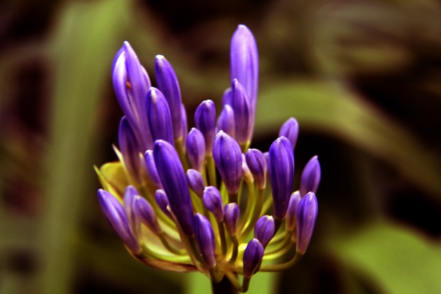 能繼續展現 能繼續展現