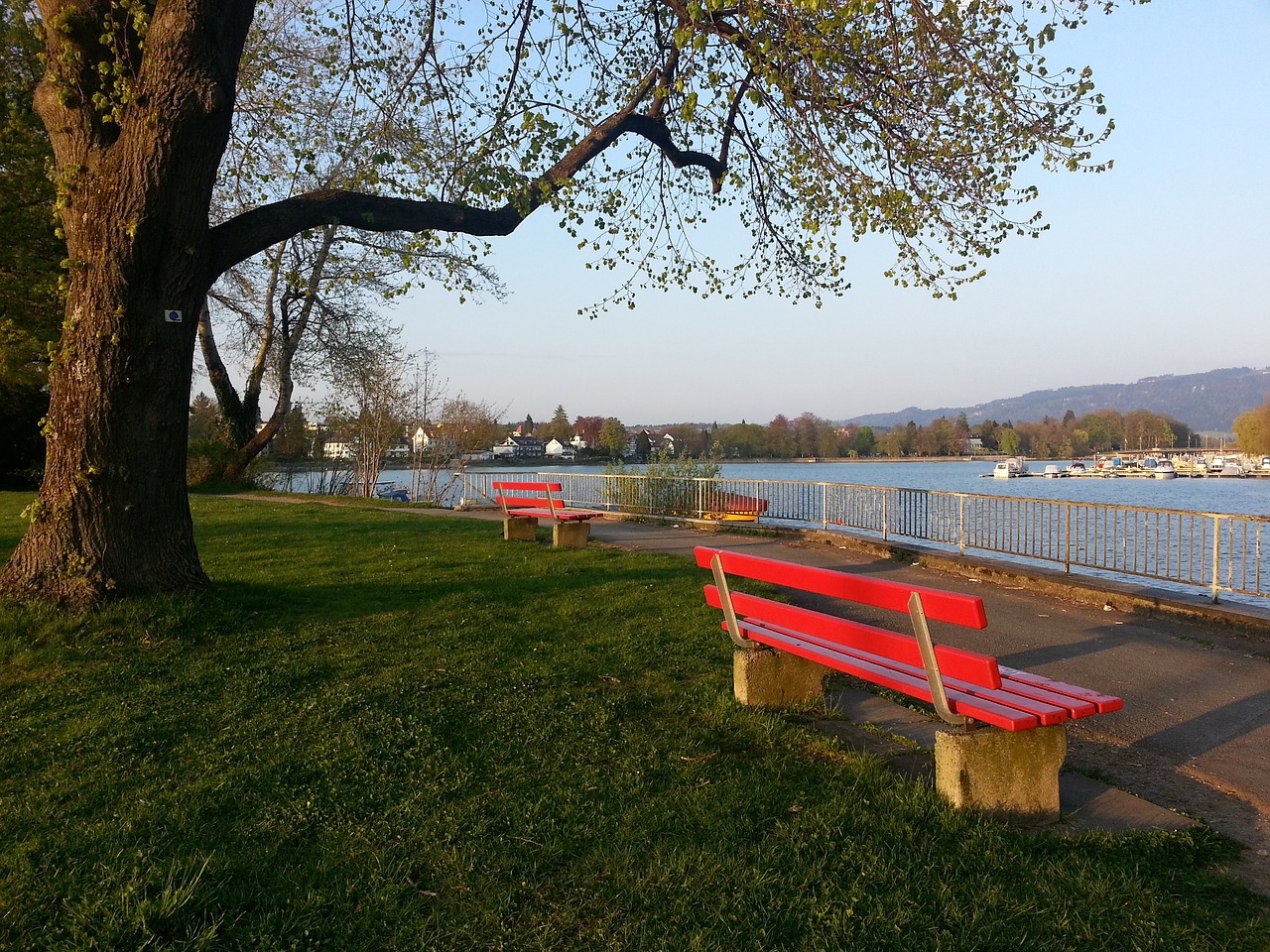 丁威迪在场 丁威迪在场