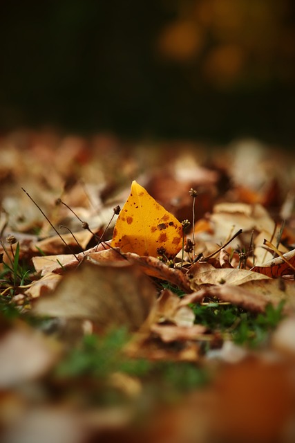 前所未有的 前所未有的