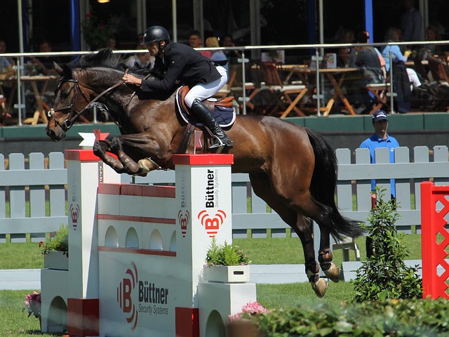 前巴黎圣日 前巴黎圣日
