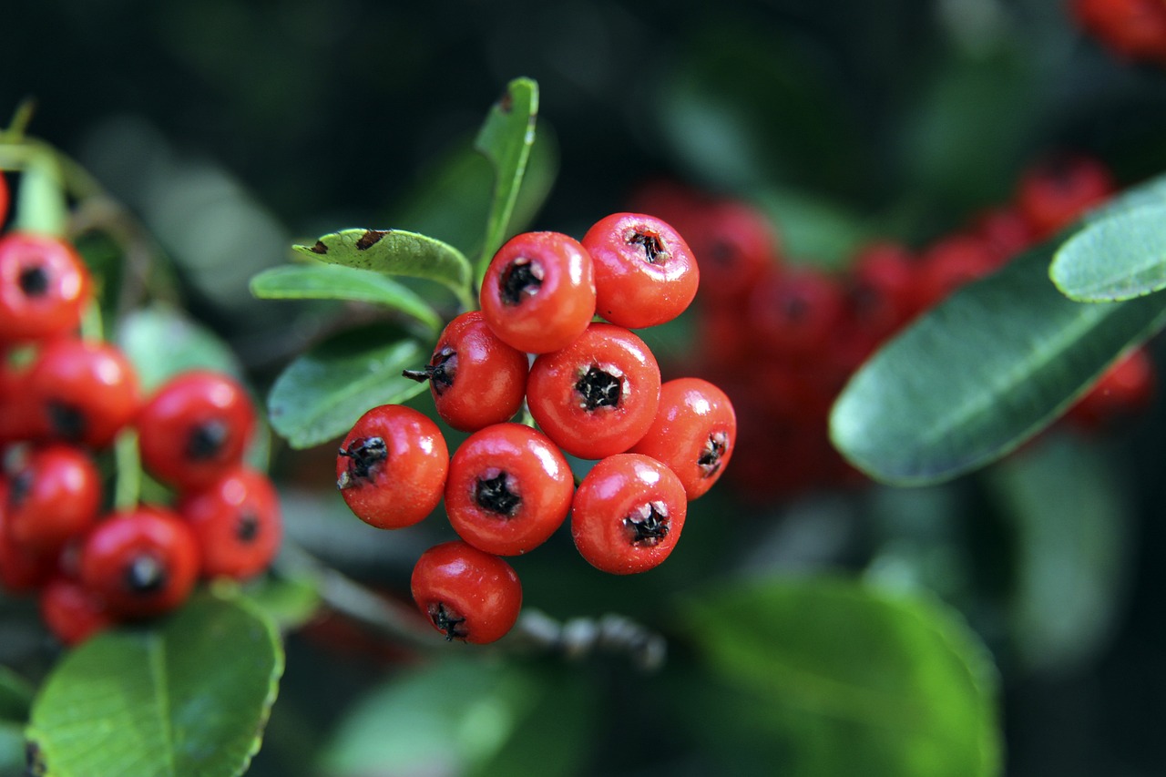 攻防转化效 攻防转化效