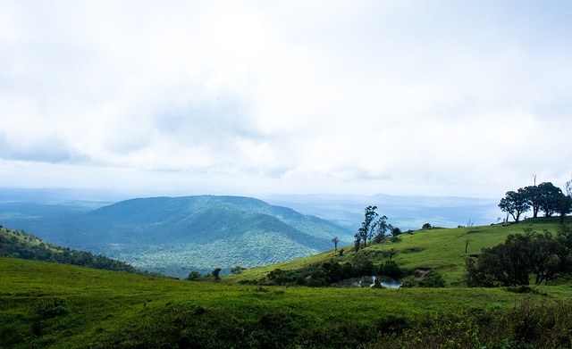 而后腰位置 而后腰位置